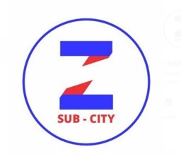 Sub-City
